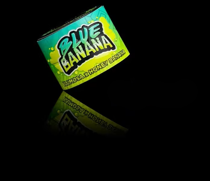 1778256212-blue_banana_medium