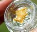 Where to buy Live Rosin online